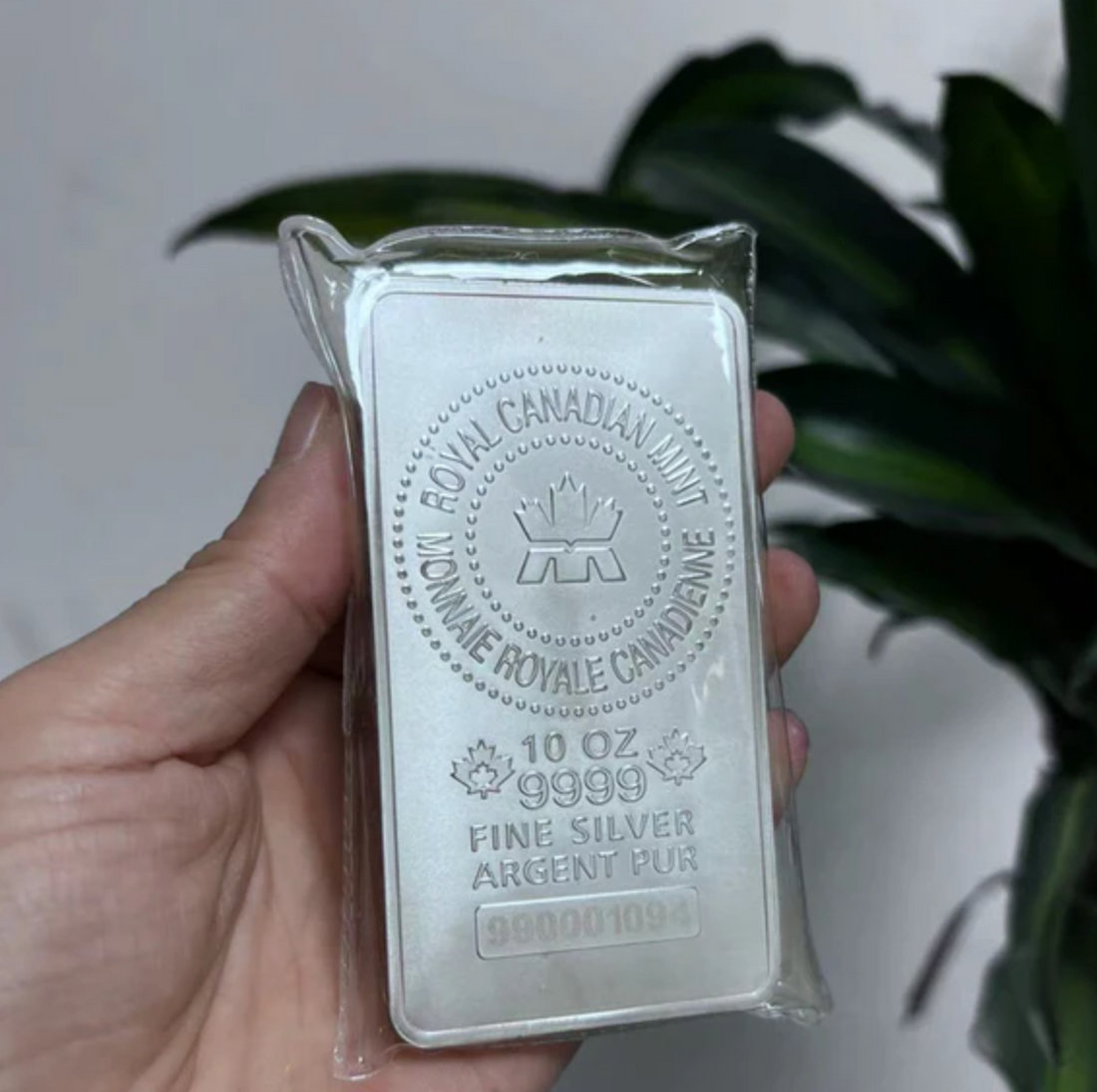 Canadian Silver Bar ( 10 Troy Ounce )